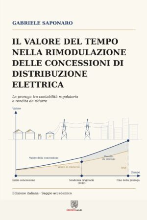 Il Valore del tempo nella rimodulazione delle concessioni di distribuzione elettrica - G. Saponaro